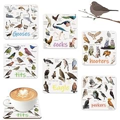 6pcs bird drinks for sale  Delivered anywhere in UK