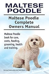 Maltese poodle. maltese for sale  Delivered anywhere in USA 