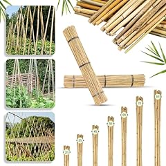 Tradexone bamboo canes for sale  Delivered anywhere in UK