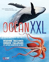 Océan xxl requins d'occasion  Livré partout en France