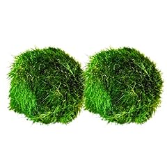 Marimo moss balls for sale  Delivered anywhere in Ireland