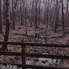 Faultline. ep for sale  Delivered anywhere in USA 