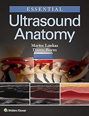 Essential ultrasound anatomy for sale  Delivered anywhere in Ireland