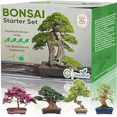 Easy bonsai starter gebraucht kaufen  Wird an jeden Ort in Deutschland