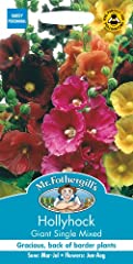 Fothergill 22687 flower for sale  Delivered anywhere in UK