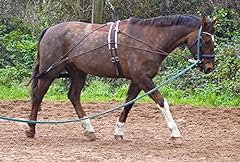 Aces equine horse for sale  Delivered anywhere in UK