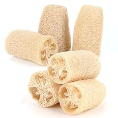 Pezzi luffa spugna usato  Spedito ovunque in Italia 
