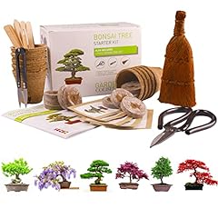 Bonsai tree kit for sale  Delivered anywhere in Ireland