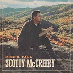 Rise fall vinyl for sale  Delivered anywhere in UK