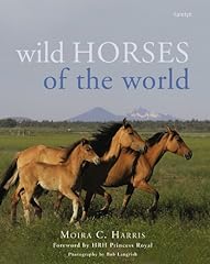 Wild horses for sale  Delivered anywhere in UK