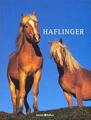 Haflinger d'occasion  Livré partout en Belgiqu