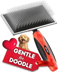 Bixy pixy dog for sale  Delivered anywhere in USA 