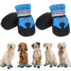 Bottes chien chaussures d'occasion  Livré partout en France