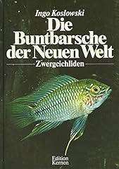 Buntbarsche neuen zwergcichlid gebraucht kaufen  Wird an jeden Ort in Deutschland