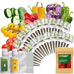 Lykoclean cherry tomato for sale  Delivered anywhere in UK
