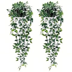 Pcs hanging plant for sale  Delivered anywhere in UK