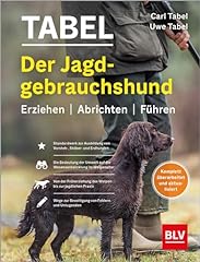 Jagdgebrauchshund erziehen abr gebraucht kaufen  Wird an jeden Ort in Deutschland