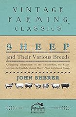 Sheep various breeds for sale  Delivered anywhere in USA 