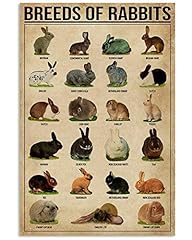 Breeds rabbits retro for sale  Delivered anywhere in USA 