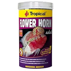 Tropical flower horn usato  Spedito ovunque in Italia 