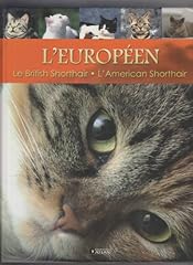 Européen british shorthair d'occasion  Livré partout en France