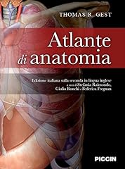 Atlante anatomia usato  Spedito ovunque in Italia 