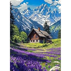 Qenspe diamond painting d'occasion  Livré partout en Belgiqu