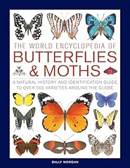 Encyclopedia butterflies moths for sale  Delivered anywhere in UK