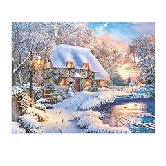 Shegzhuc diamond painting usato  Spedito ovunque in Italia 