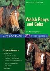 Welsh ponys und usato  Spedito ovunque in Italia 