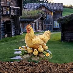 Farm mother hen for sale  Delivered anywhere in USA 