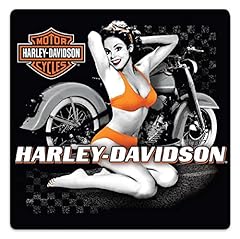 Harley davidson flash for sale  Delivered anywhere in USA 