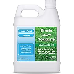 Advanced lawn fertilizer for sale  Delivered anywhere in USA 