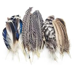 Pcs pheasant feathers for sale  Delivered anywhere in UK