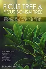 Bernard brook ficus for sale  Delivered anywhere in UK