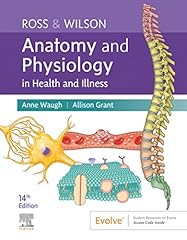 Ross wilson anatomy gebraucht kaufen  Wird an jeden Ort in Deutschland