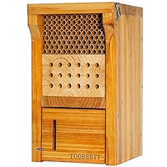 Toobeett mason bee for sale  Delivered anywhere in USA 