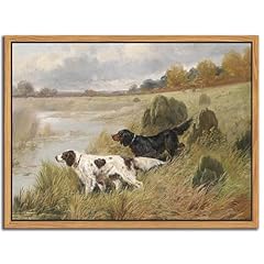 Floating framed vintage for sale  Delivered anywhere in USA 