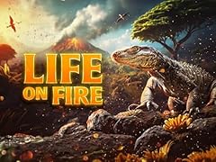 Life fire for sale  Delivered anywhere in USA 
