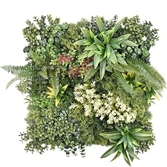 Karat mur plantes d'occasion  Livré partout en France