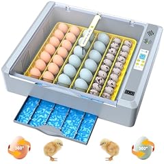 Eggs incubator hatching for sale  Delivered anywhere in USA 