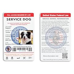 Custom service dog for sale  Delivered anywhere in USA 