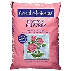Coast maine rose for sale  Delivered anywhere in USA 
