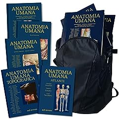 Anatomy bag plus usato  Spedito ovunque in Italia 