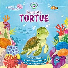 Petite tortue d'occasion  Livré partout en France