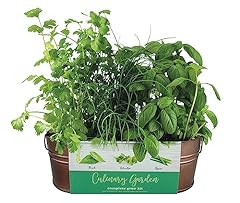Buzzy organic windowsill for sale  Delivered anywhere in USA 