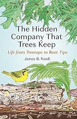 Hidden company trees for sale  Delivered anywhere in USA 