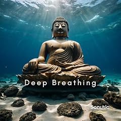 Deep breathing usato  Spedito ovunque in Italia 