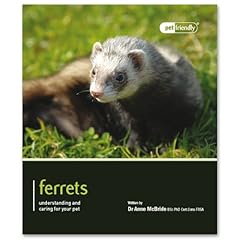 Ferrets pet friendly for sale  Delivered anywhere in UK