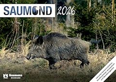 Saumond 2026 gebraucht kaufen Saumond 2026 gebraucht kaufen  Wird an jeden Ort in Deutschland